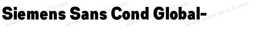 Siemens Sans Cond Global字体转换